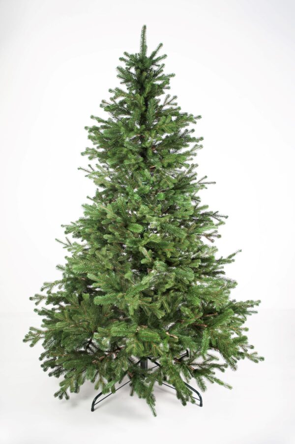 VICTORIA_3d_exclusive